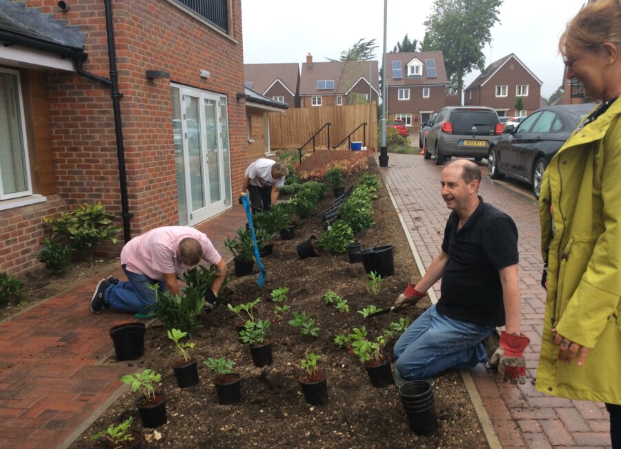 Garden being planted.