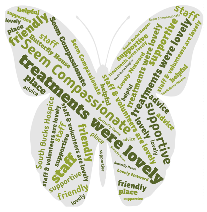 Green butterfly 2